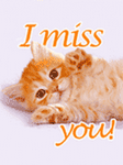 pic for I MISS YOU